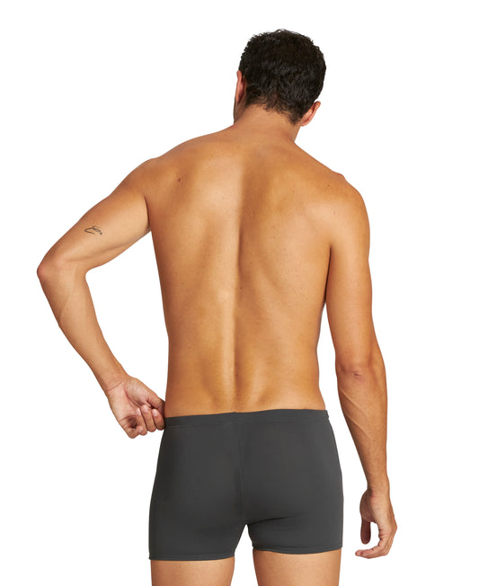 Arena Streak Aquashort