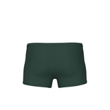 Arena Graphic Swim Trunks - Grøn/Sage