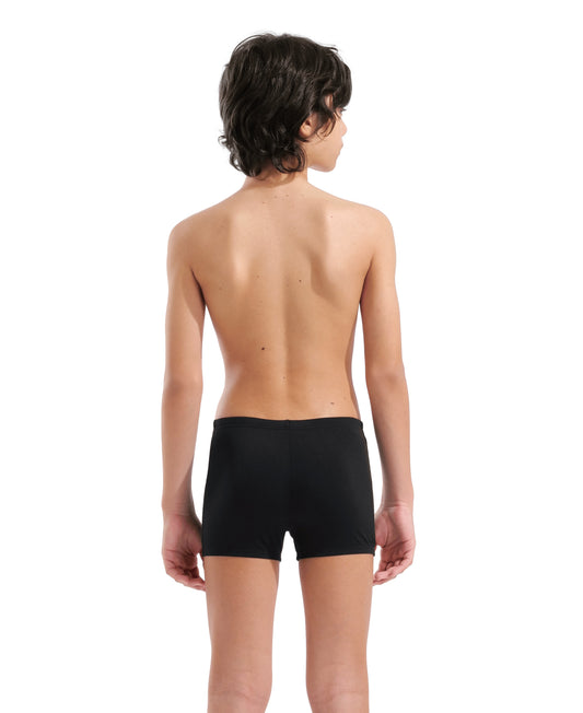 Arena Graphic Swim Short Drenge - Sort/Blå