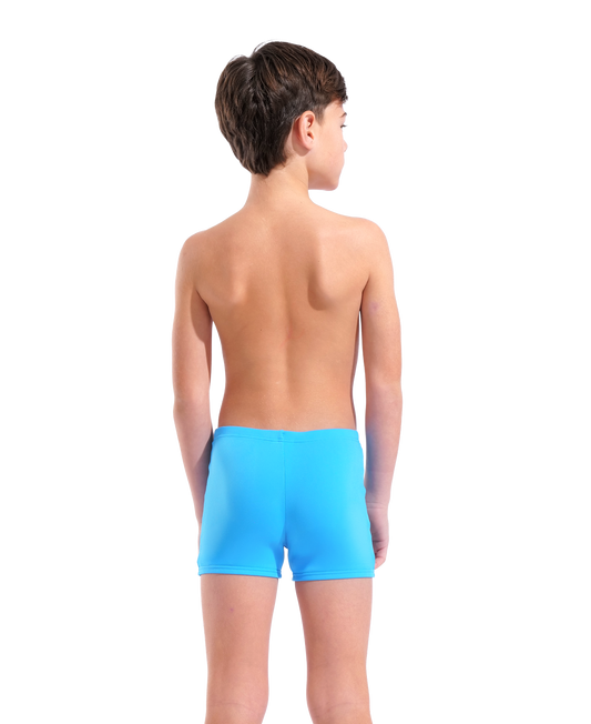 Arena Graphic Swim Short Drenge - Lyseblå